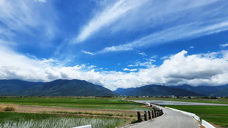 【縱谷大地藝術節 漂鳥197】台東 · 花東縱谷 · 池上 · 關山 · 鹿野