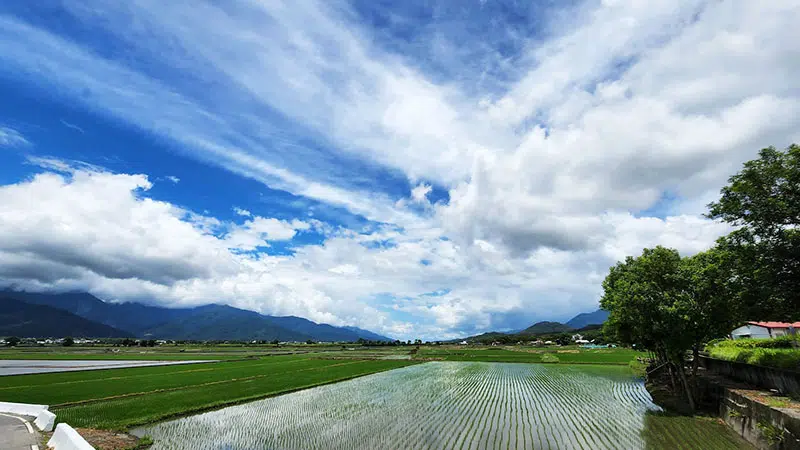 【縱谷大地藝術節 漂鳥197】台東 · 花東縱谷 · 池上 · 關山 · 鹿野