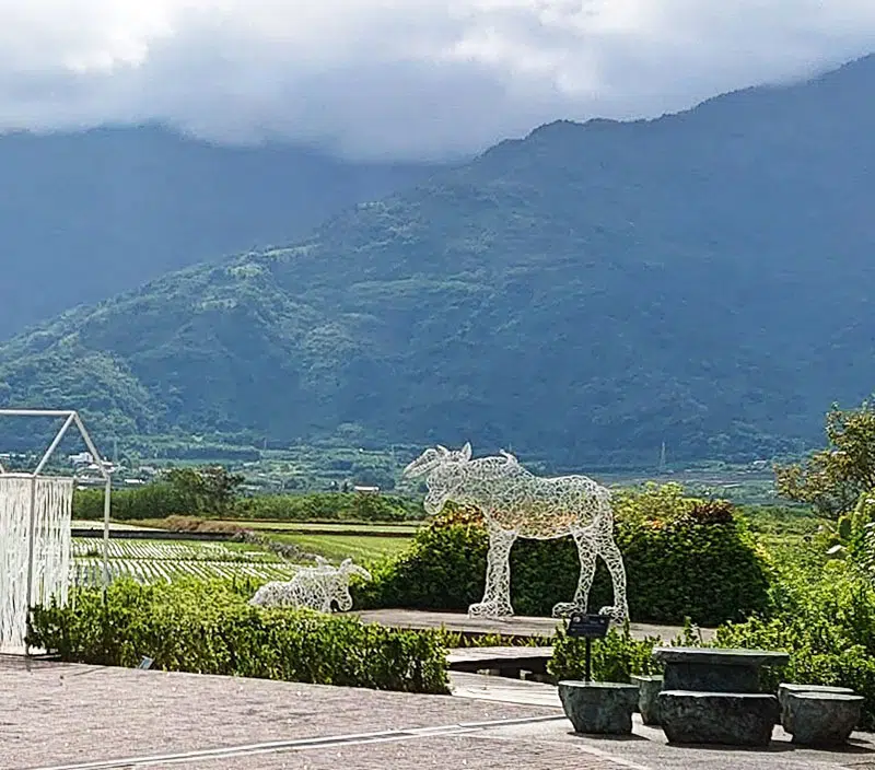 【縱谷大地藝術節 漂鳥197】台東 · 花東縱谷 · 池上 · 關山 · 鹿野