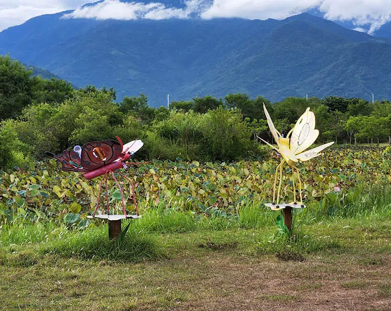 【縱谷大地藝術節 漂鳥197】台東 · 花東縱谷 · 池上 · 關山 · 鹿野