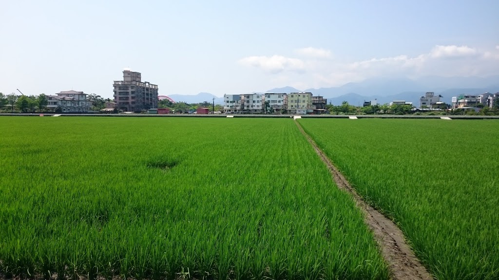 宜蘭冬山河親水公園~浮水印民宿