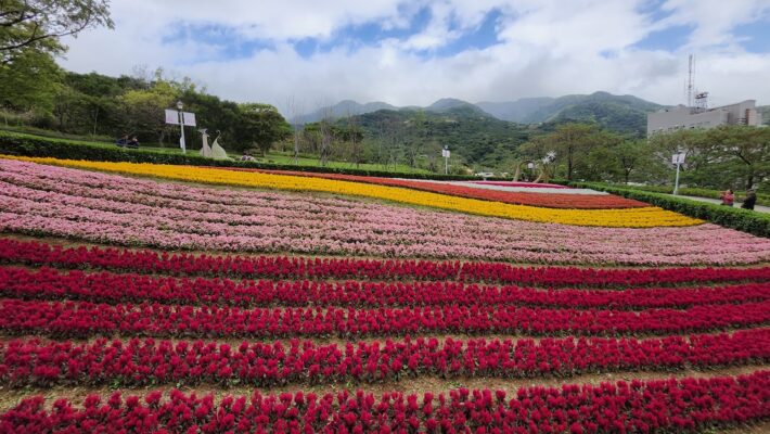 【北投景點】 三層崎公園花季攻略：台版富良野花海、交通方式、周邊素食推薦