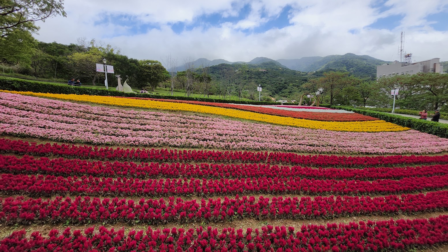 【北投景點】 三層崎公園花季攻略：台版富良野花海、交通方式、周邊素食推薦