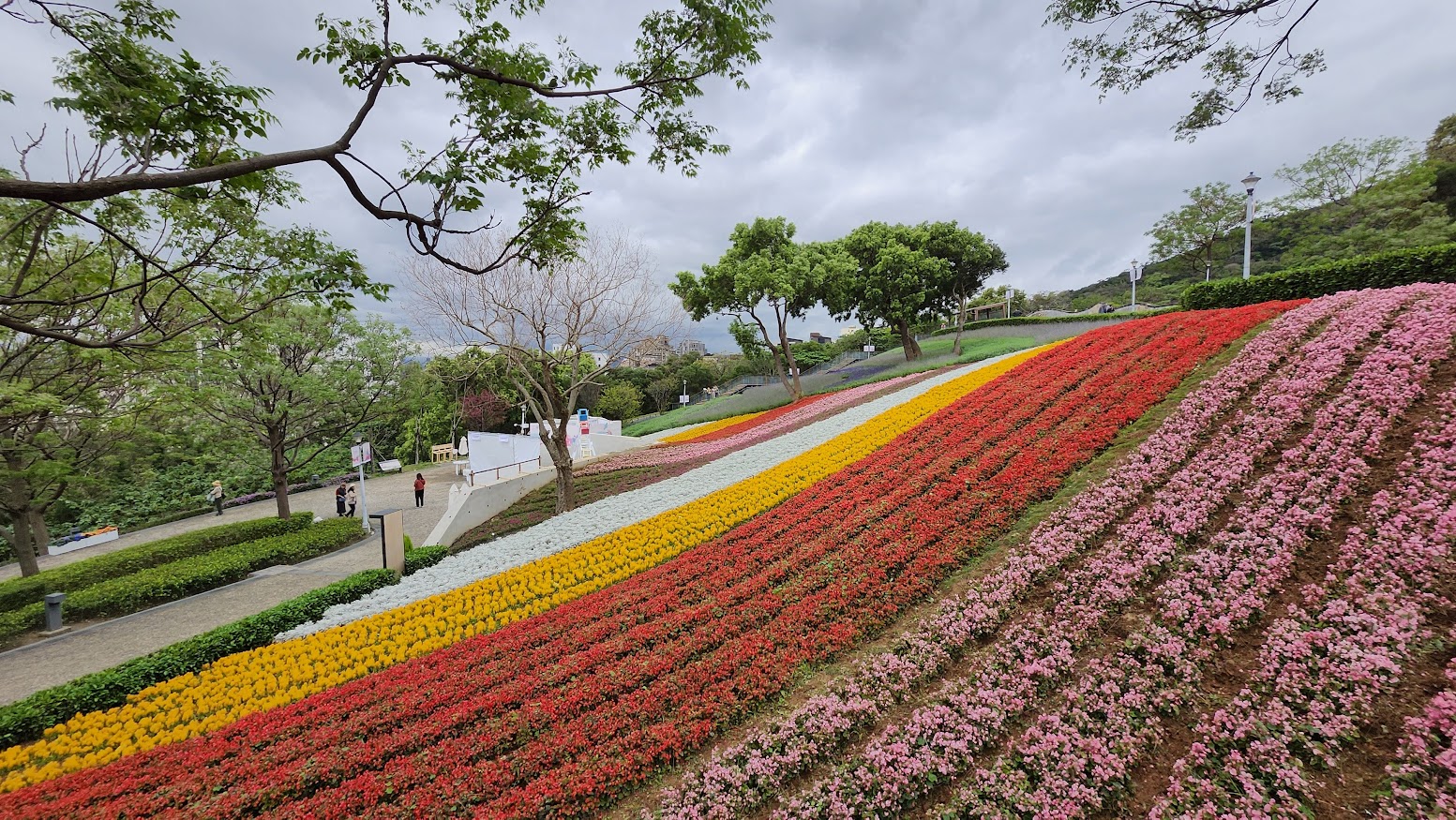 【北投景點】 三層崎公園花季攻略：台版富良野花海、交通方式、周邊素食推薦
