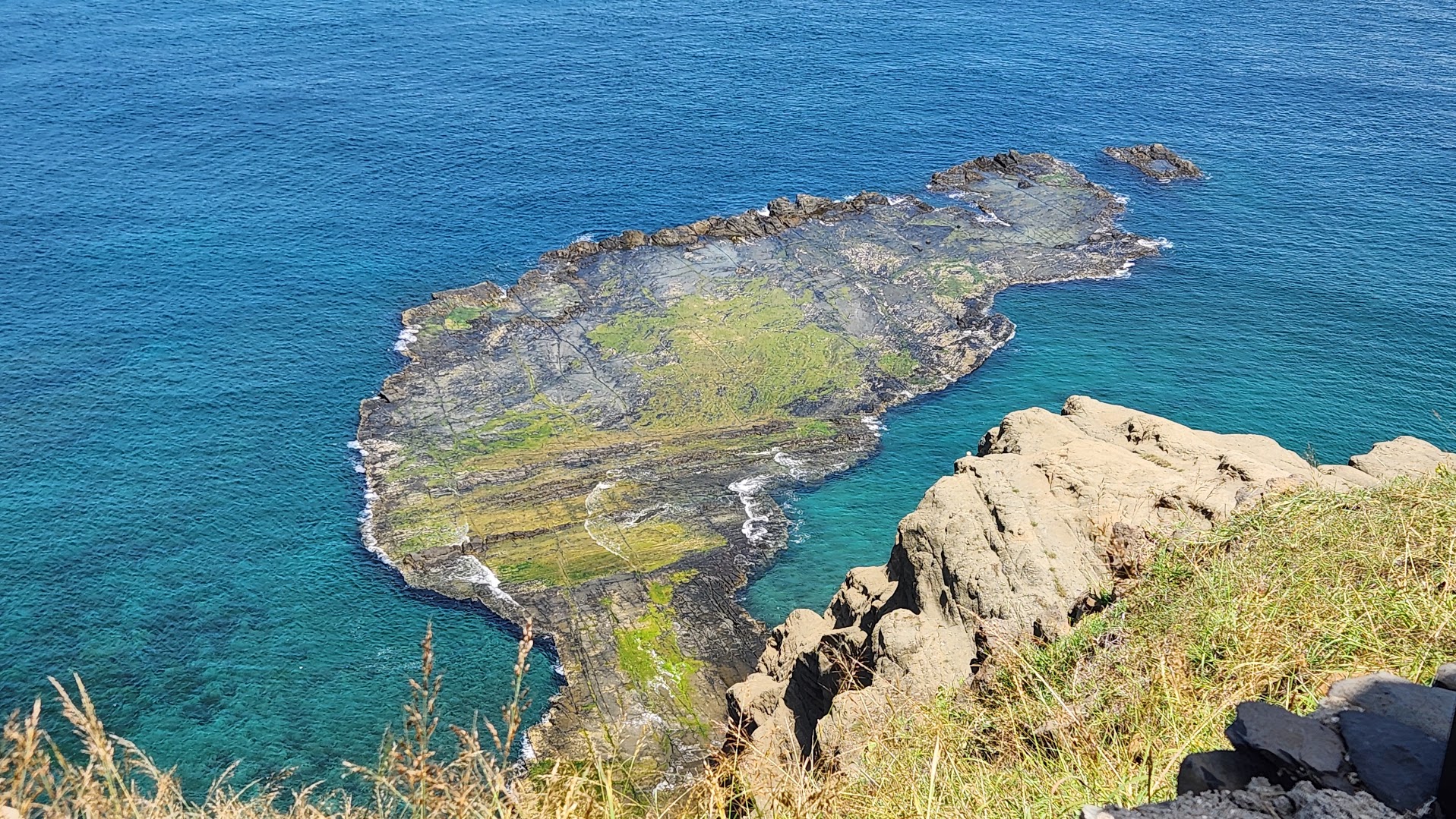 澎湖素食旅遊攻略｜澎澄飯店開箱：港景泳池、跳島與在地蔬食美食地圖