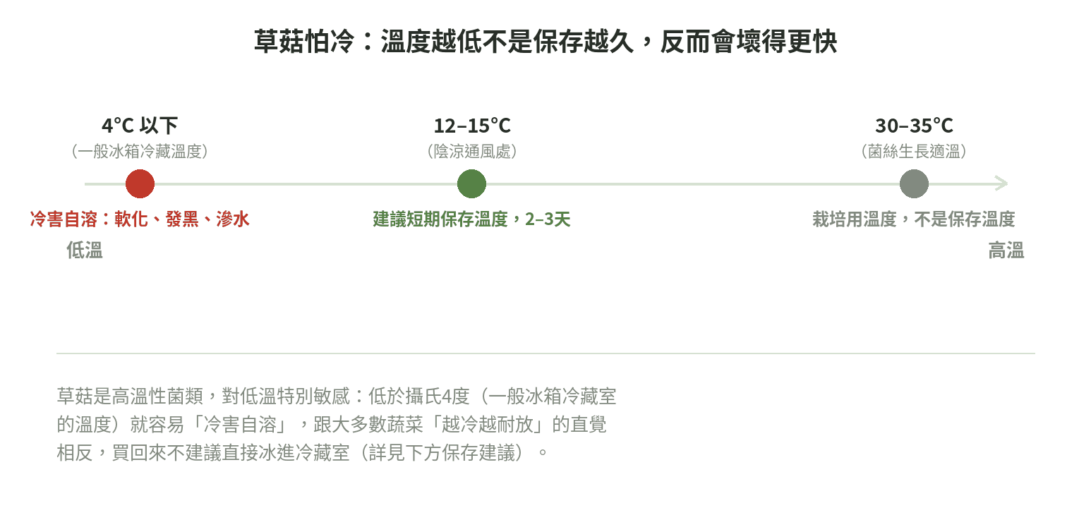 草菇怕冷：低溫（4°C以下）冷害自溶、12-15°C建議保存溫度、30-35°C菌絲生長適溫的連續軸示意圖