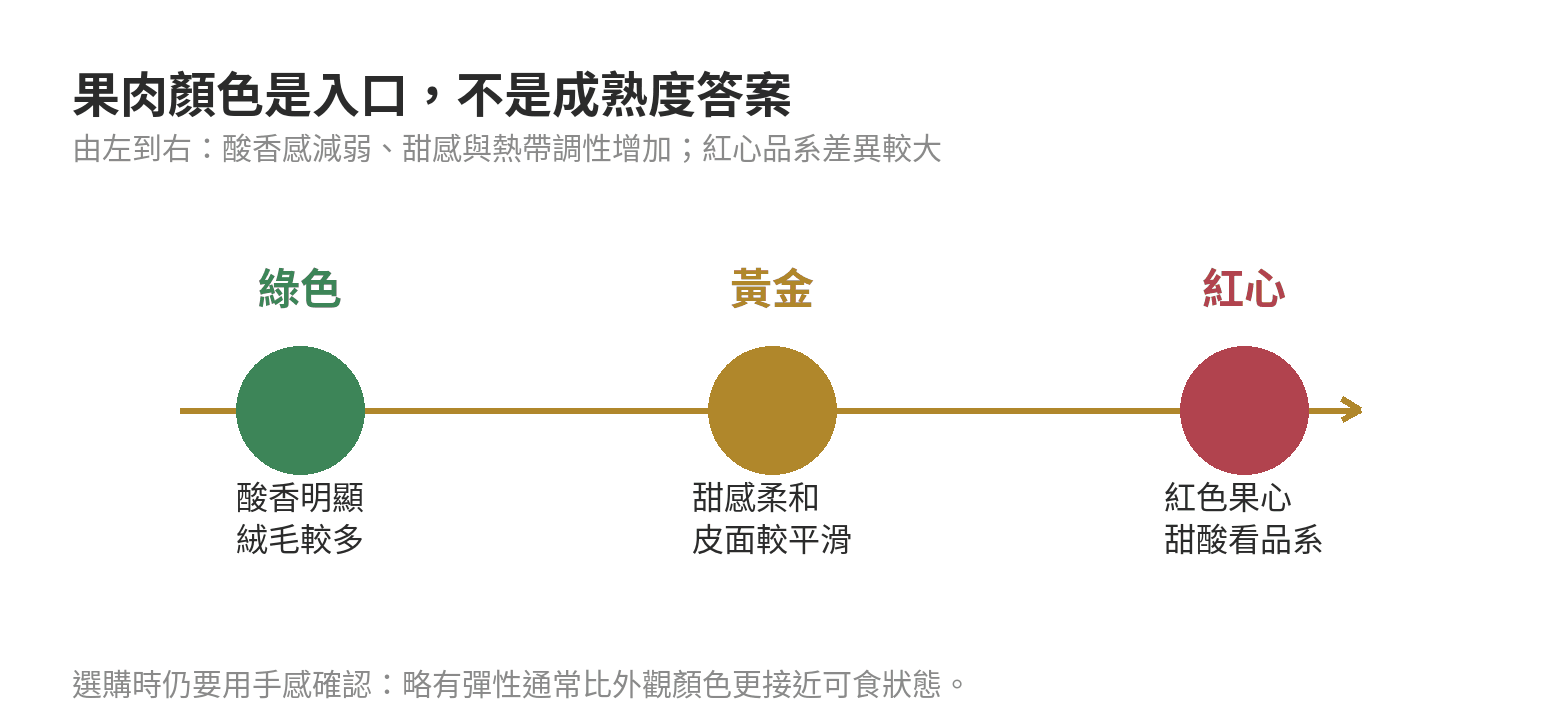 綠色、黃金、紅心奇異果的風味與外皮差異示意圖