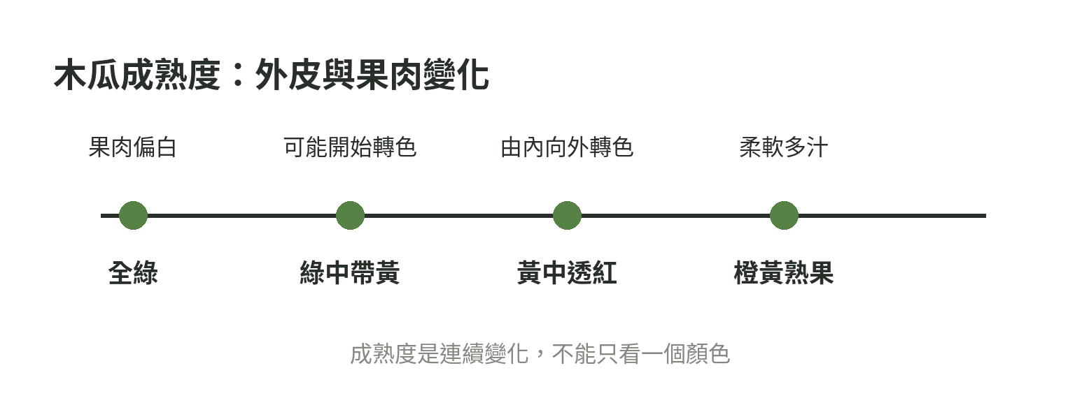 木瓜從全綠青木瓜到全黃熟果的成熟度連續軸，標示外皮與果肉的變化
