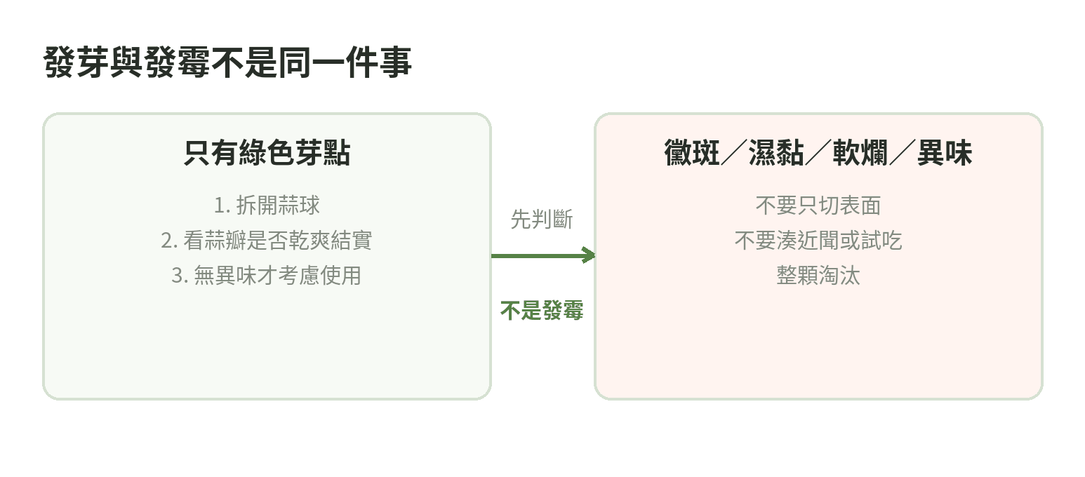 蒜頭發芽與發霉的判斷圖:綠芽可拆開檢查,黴斑、濕軟與異味則丟棄