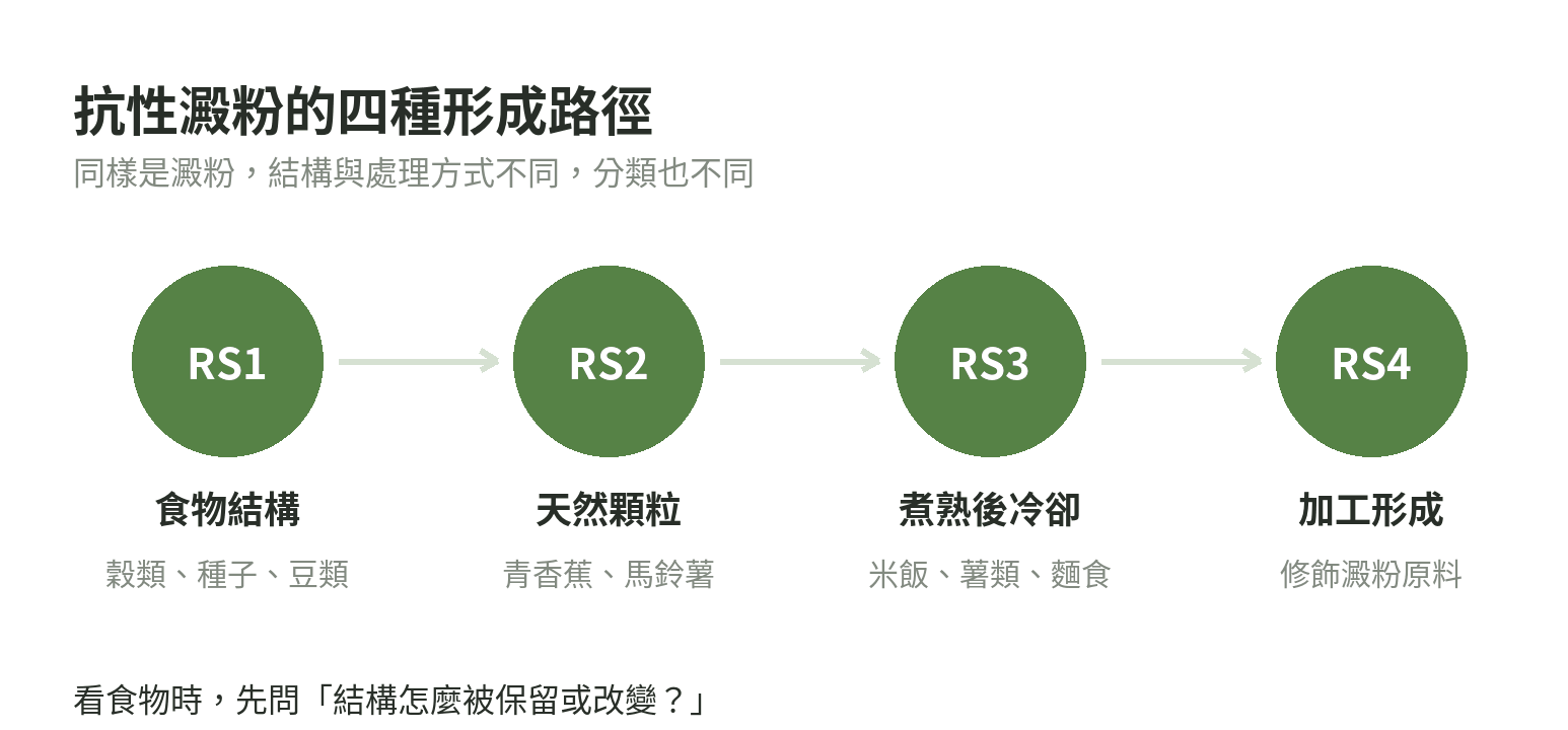 抗性澱粉從食物結構、天然顆粒、加熱後冷卻到加工澱粉的四種形成路徑