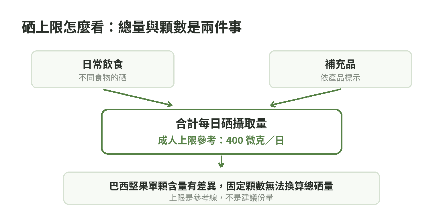 硒攝取判讀流程:食物與補充品的硒量合計,再與成人每日上限比較;巴西堅果單顆含量變異大,因此上限不能直接換成固定顆數。