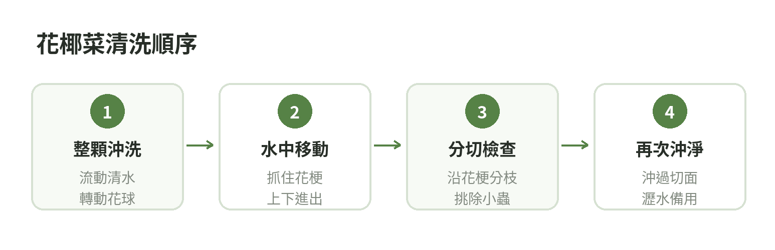 花椰菜清洗流程：整顆沖洗、清水中上下移動、沿花梗分切檢查、最後沖淨