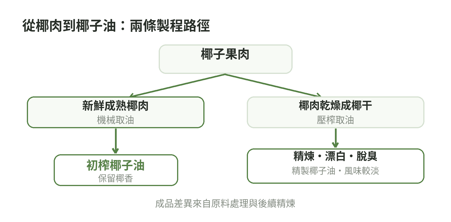 椰子油製程分流示意:新鮮椰肉取油形成初榨油;椰肉乾燥成椰干後取油,再經精煉、漂白與脫臭形成精製油。