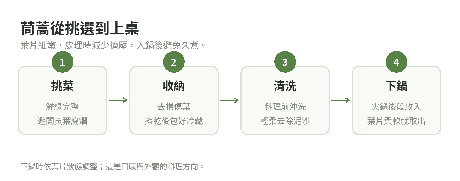 茼蒿從選購到下鍋的處理流程:挑完整鮮綠葉片、除去受損葉並保持乾爽冷藏、料理前清洗,最後在火鍋後段下鍋並於葉片柔軟時取出。