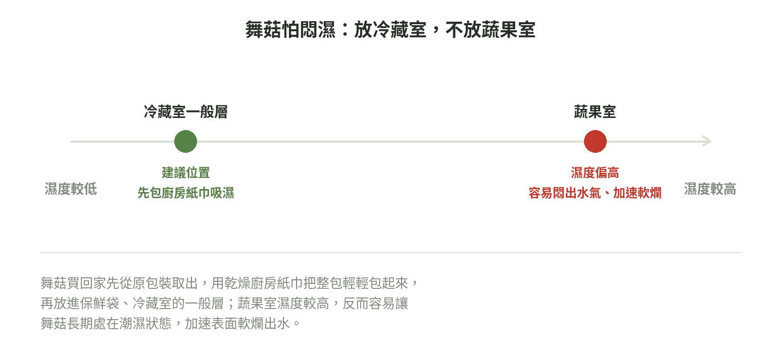 舞菇保存示意圖:冷藏室一般層濕度較低為建議位置,蔬果室濕度較高容易悶出水氣