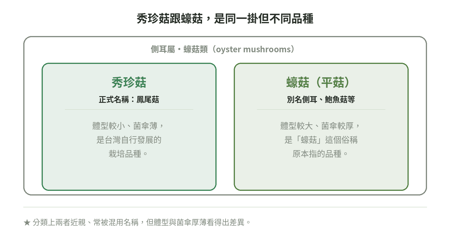 秀珍菇與蠔菇同屬側耳屬蠔菇類但為不同栽培品種的分類關係示意圖，秀珍菇正式名稱鳳尾菇、體型較小菌傘薄，蠔菇又稱平菇、體型較大菌傘較厚