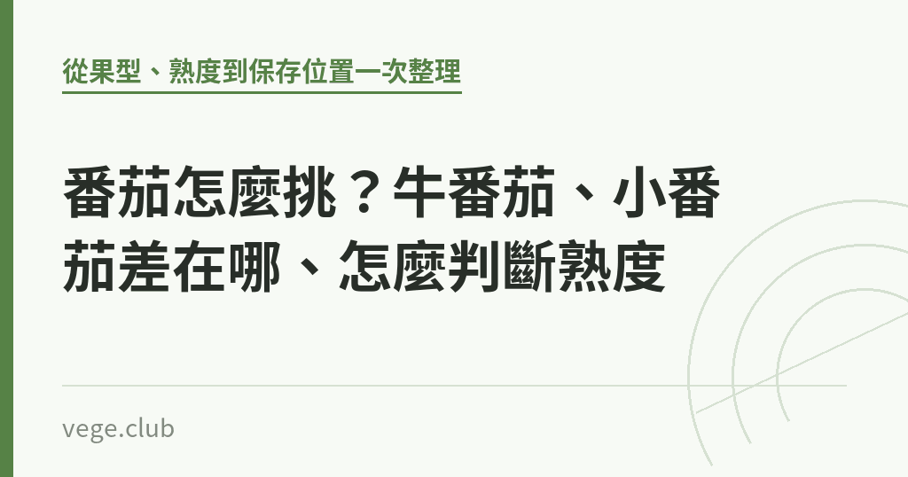 番茄怎麼挑?牛番茄、小番茄差在哪、怎麼判斷熟度 番茄怎麼挑?牛番茄、小番茄差在哪、怎麼判斷熟度|蔬食生活