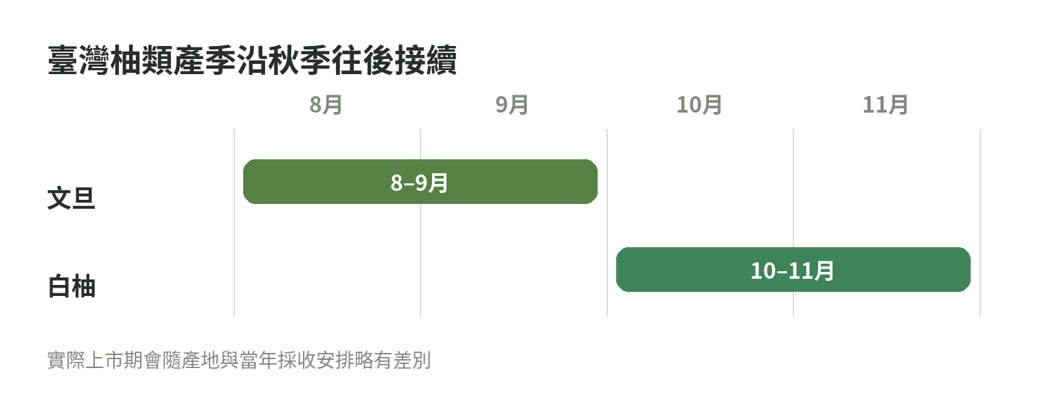 季節軸示意文旦約在8至9月、白柚約在10至11月接續進入產季