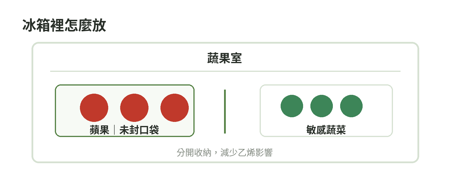 冰箱保存蘋果時,將蘋果放入蔬果室或未封口袋中,與敏感蔬菜分開