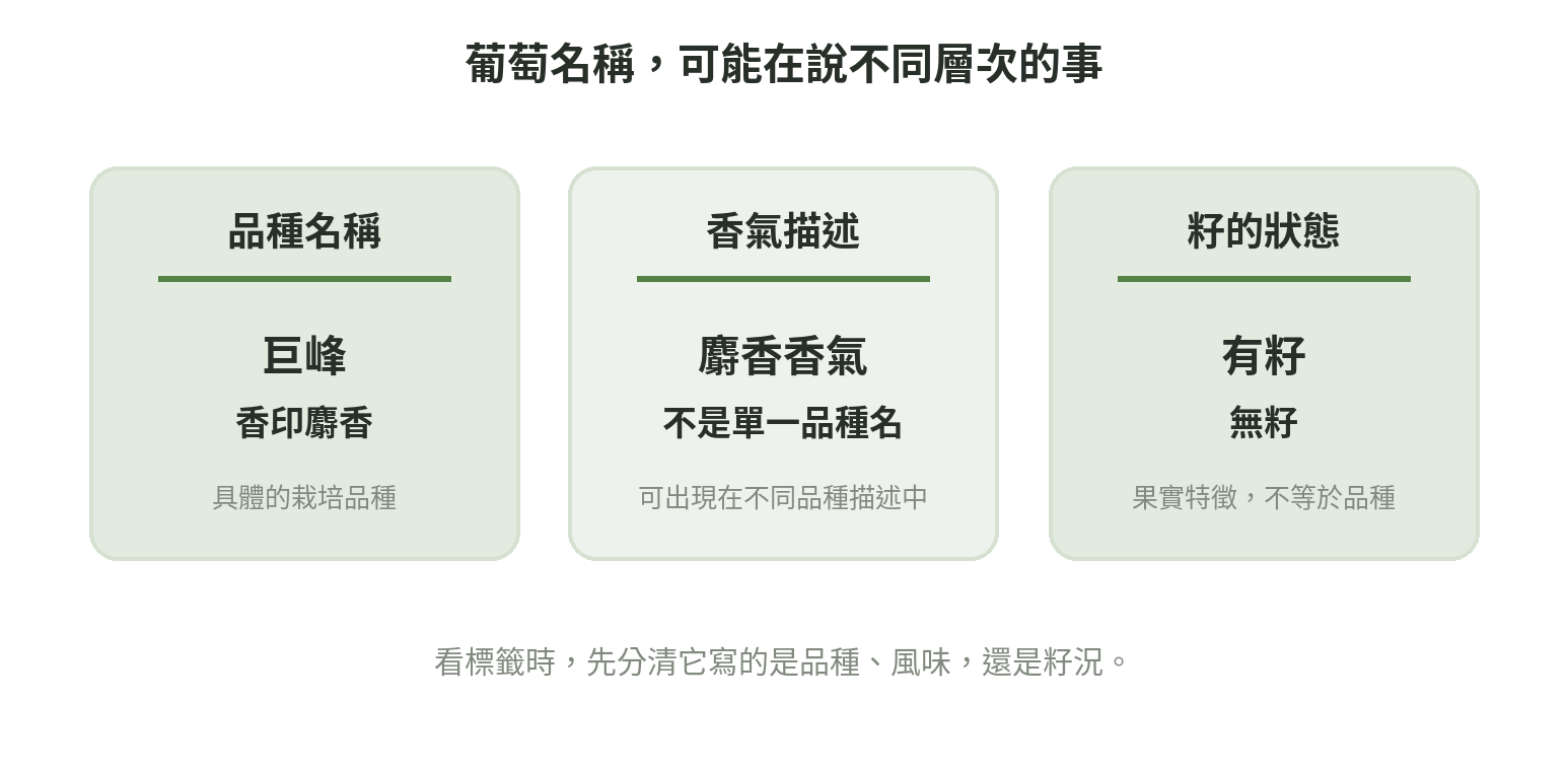 葡萄名稱的判讀角度：品種、香氣描述與有籽或無籽特徵