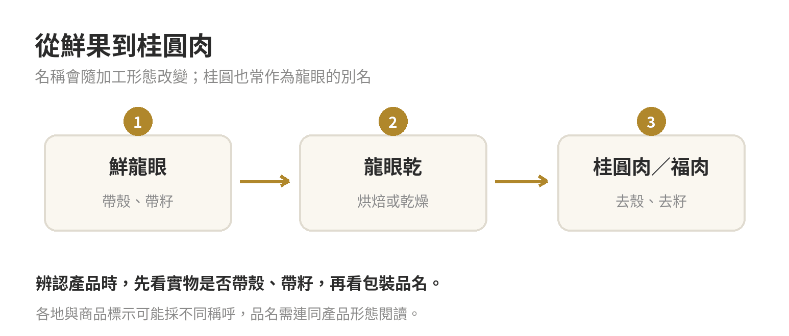 鮮龍眼經烘焙或乾燥成帶殼龍眼乾，再去殼去籽成桂圓肉的形態關係圖
