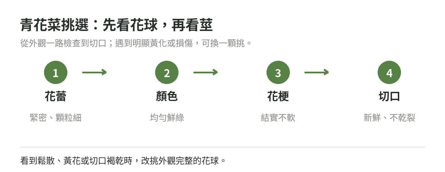 青花菜挑選順序示意：依序查看花蕾緊密度、顏色、花梗結實度與切口狀態。