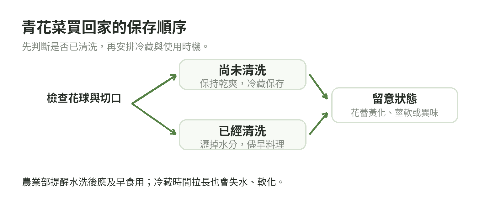青花菜保存流程示意：未清洗時保持乾爽冷藏，清洗後瀝水並儘早料理，同時觀察花蕾與莖的狀態。