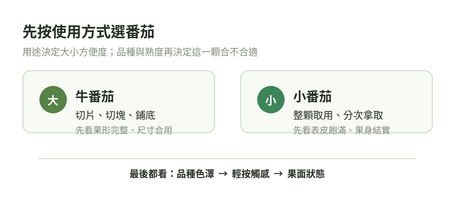 牛番茄與小番茄依果實大小和使用方式挑選的判斷圖