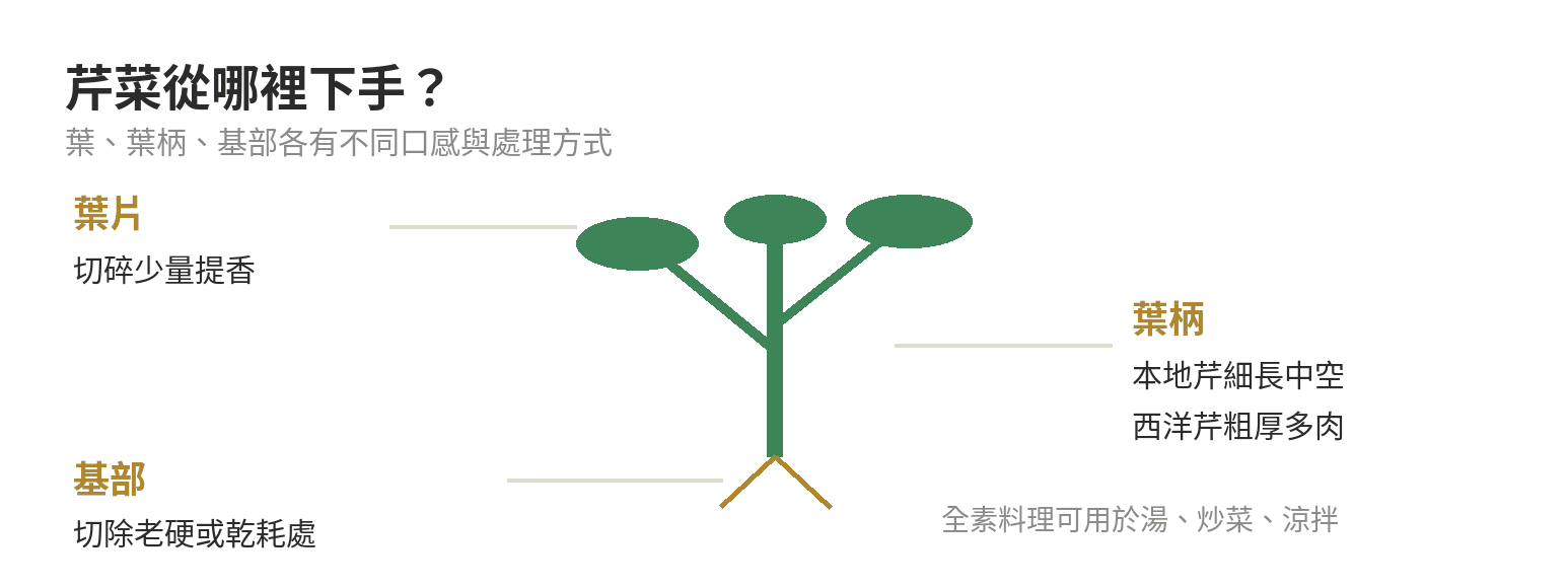 芹菜葉片、葉柄與基部示意,標出各部位處理方式