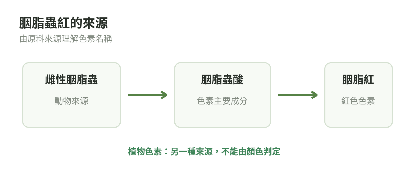 胭脂蟲紅的來源關係：雌性胭脂蟲取得胭脂蟲酸，再製成胭脂紅色素；植物紅色色素是另一類來源。