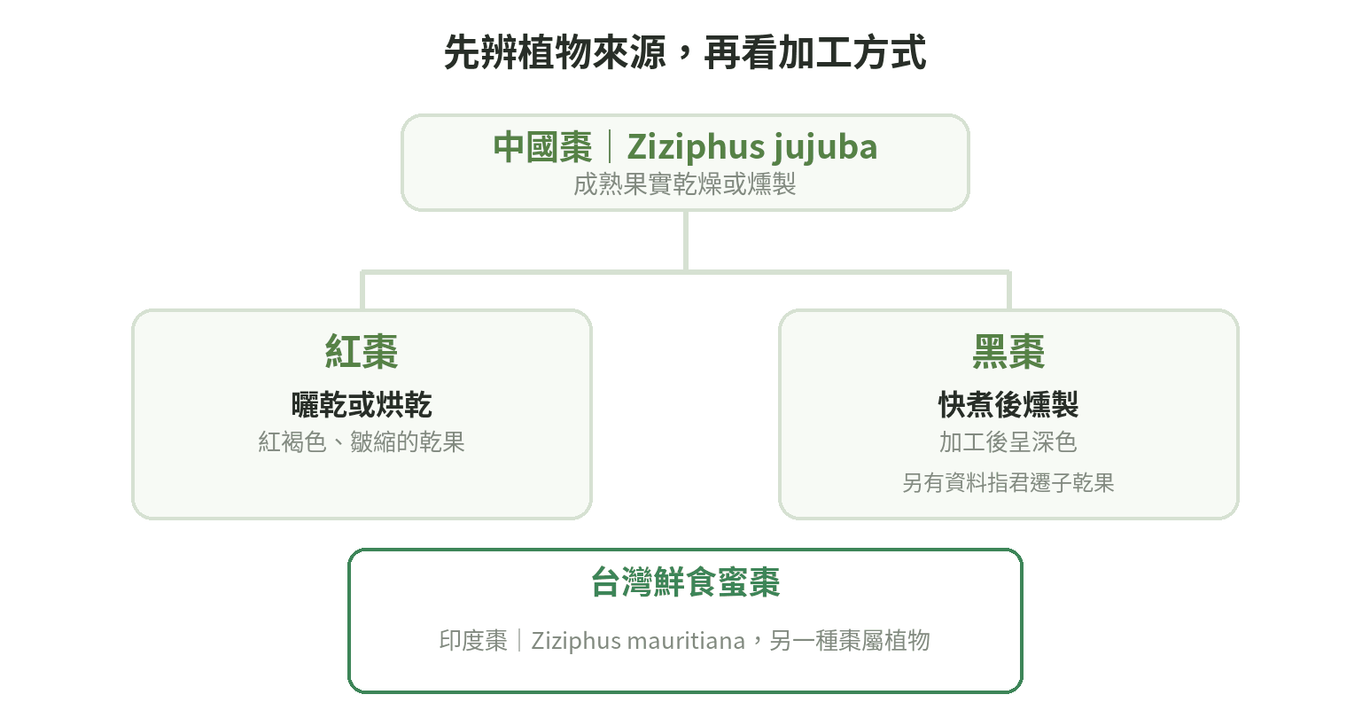 紅棗與一種黑棗來自中國棗;黑棗也可能指君遷子,台灣鮮食蜜棗則是印度棗