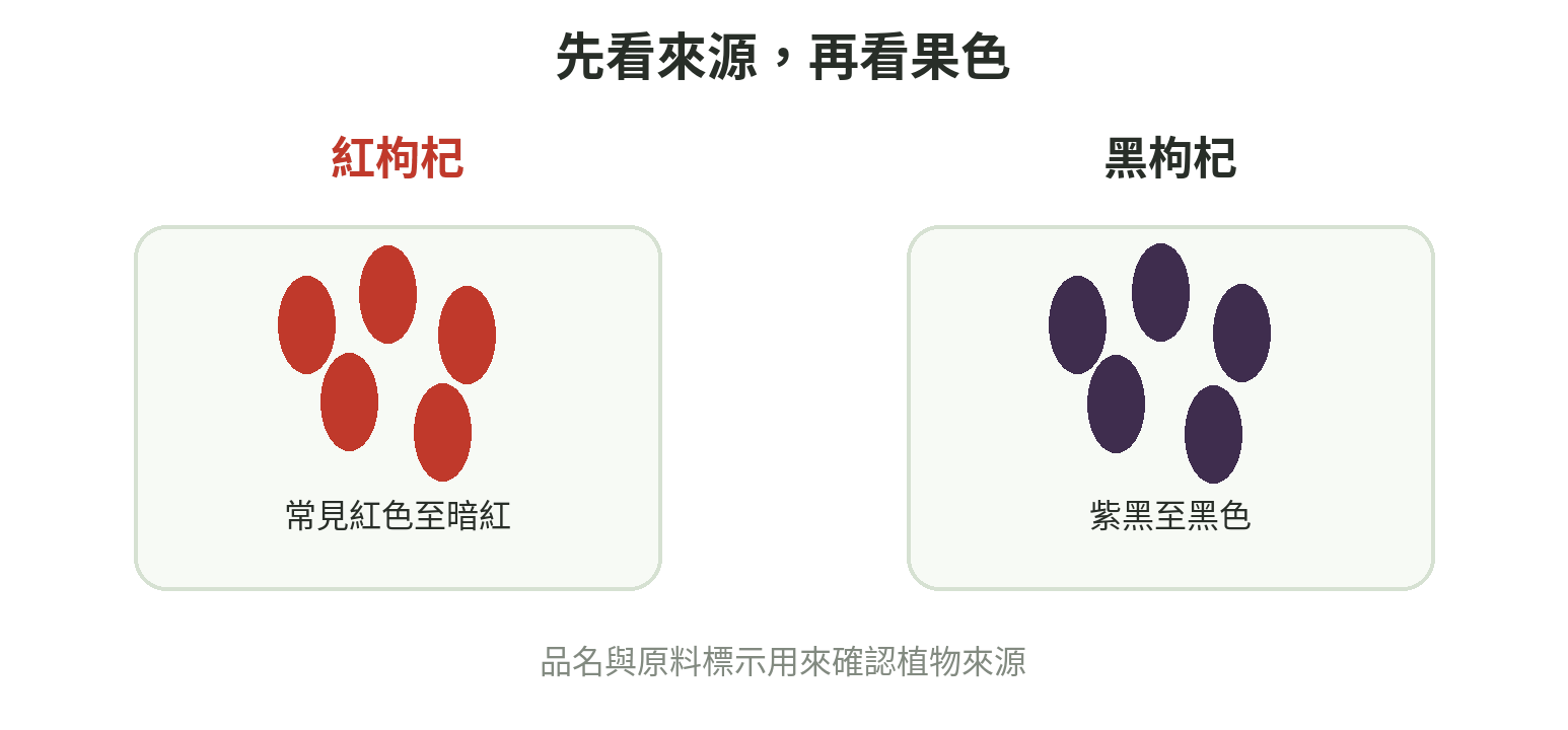 紅枸杞與黑枸杞的植物分類和外觀辨認示意圖