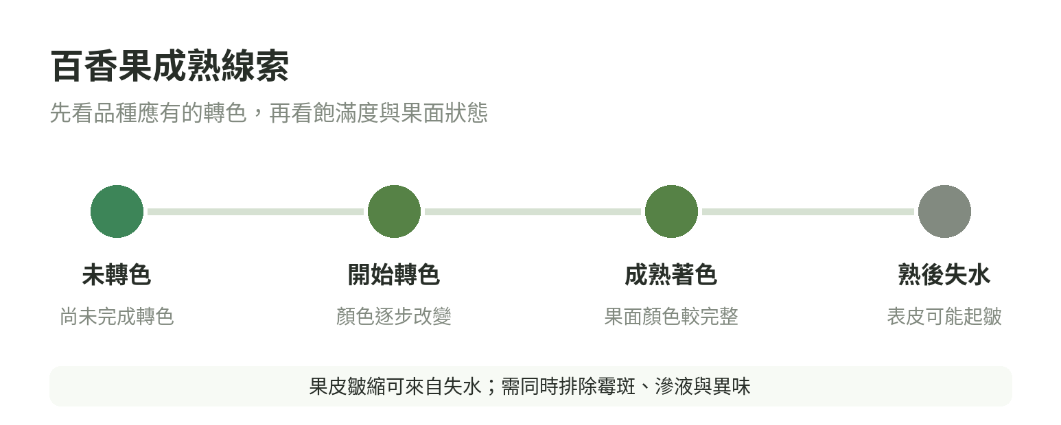 百香果從未轉色、開始轉色、成熟著色到熟後失水的成熟線索示意圖，並提醒皺縮可能來自失水