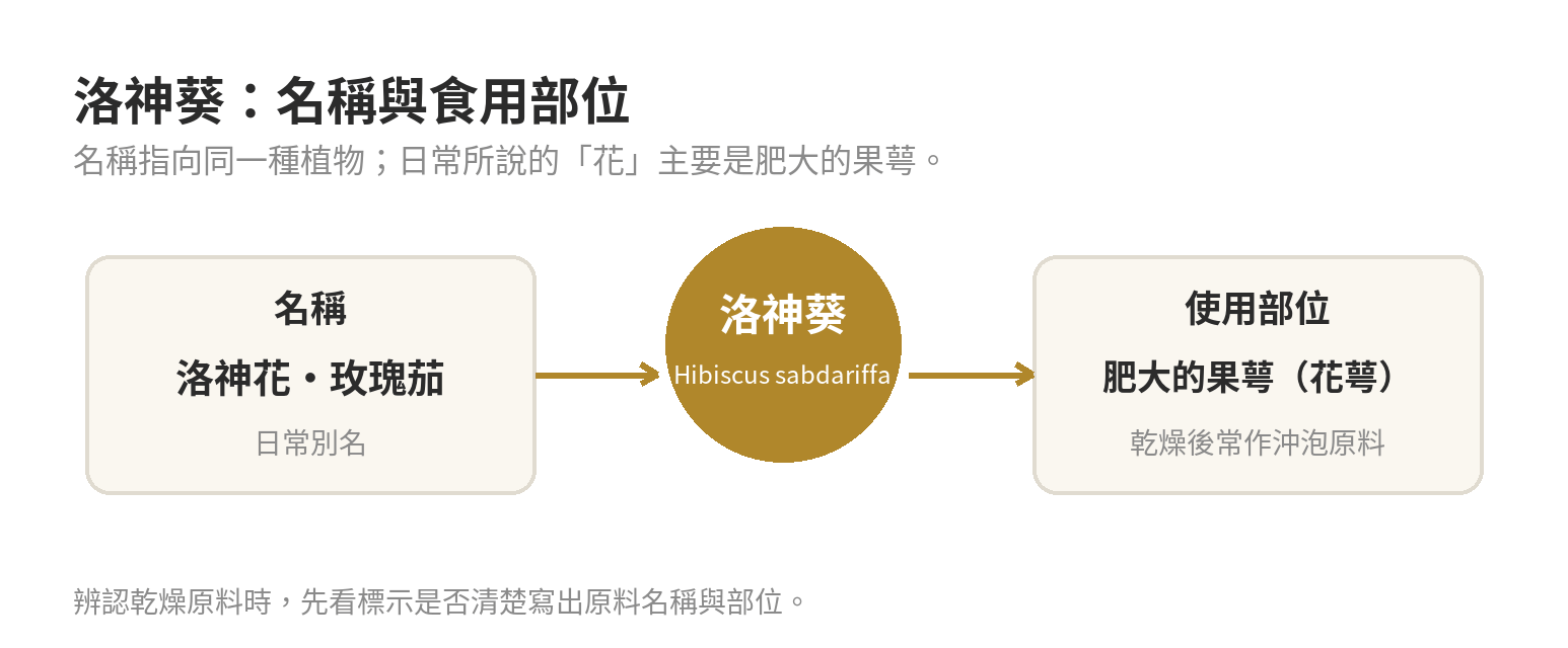 洛神花、玫瑰茄是洛神葵的常見名稱，常用部位為肥大的果萼