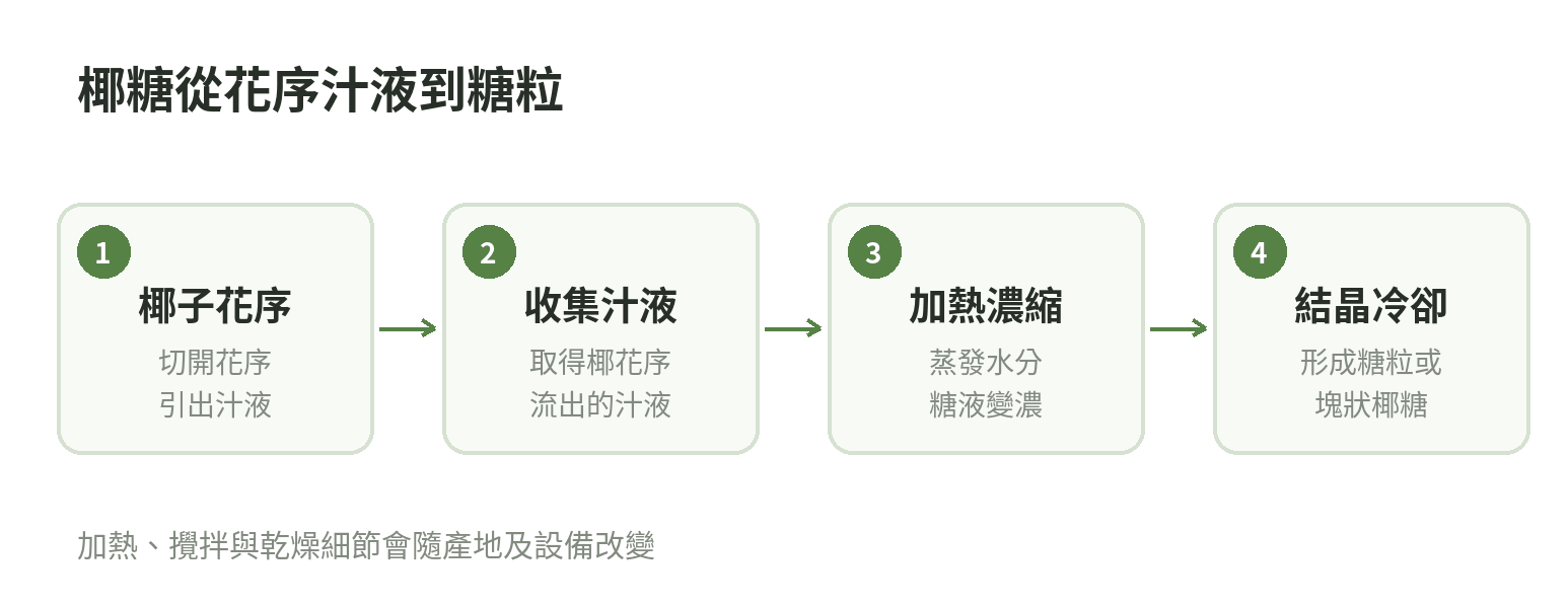 椰糖製程示意:椰子花序汁液經收集、加熱濃縮、結晶與冷卻,成為椰糖