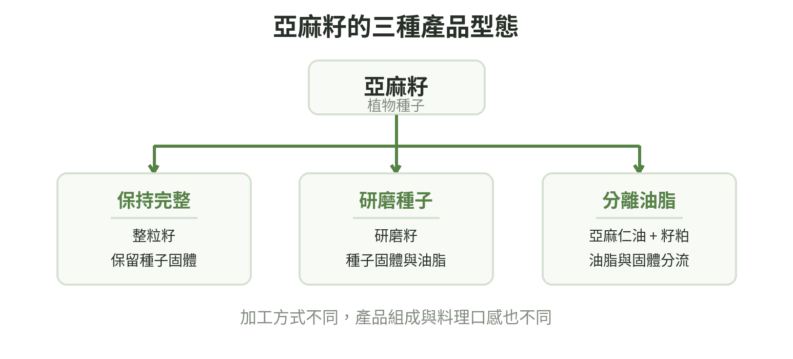 亞麻籽完整保留、研磨及榨油後的產品型態流程圖