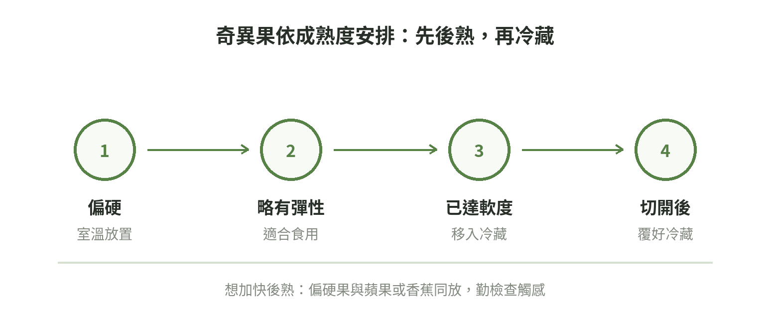 奇異果由偏硬後熟、輕壓略有彈性到冷藏保存的順序示意圖