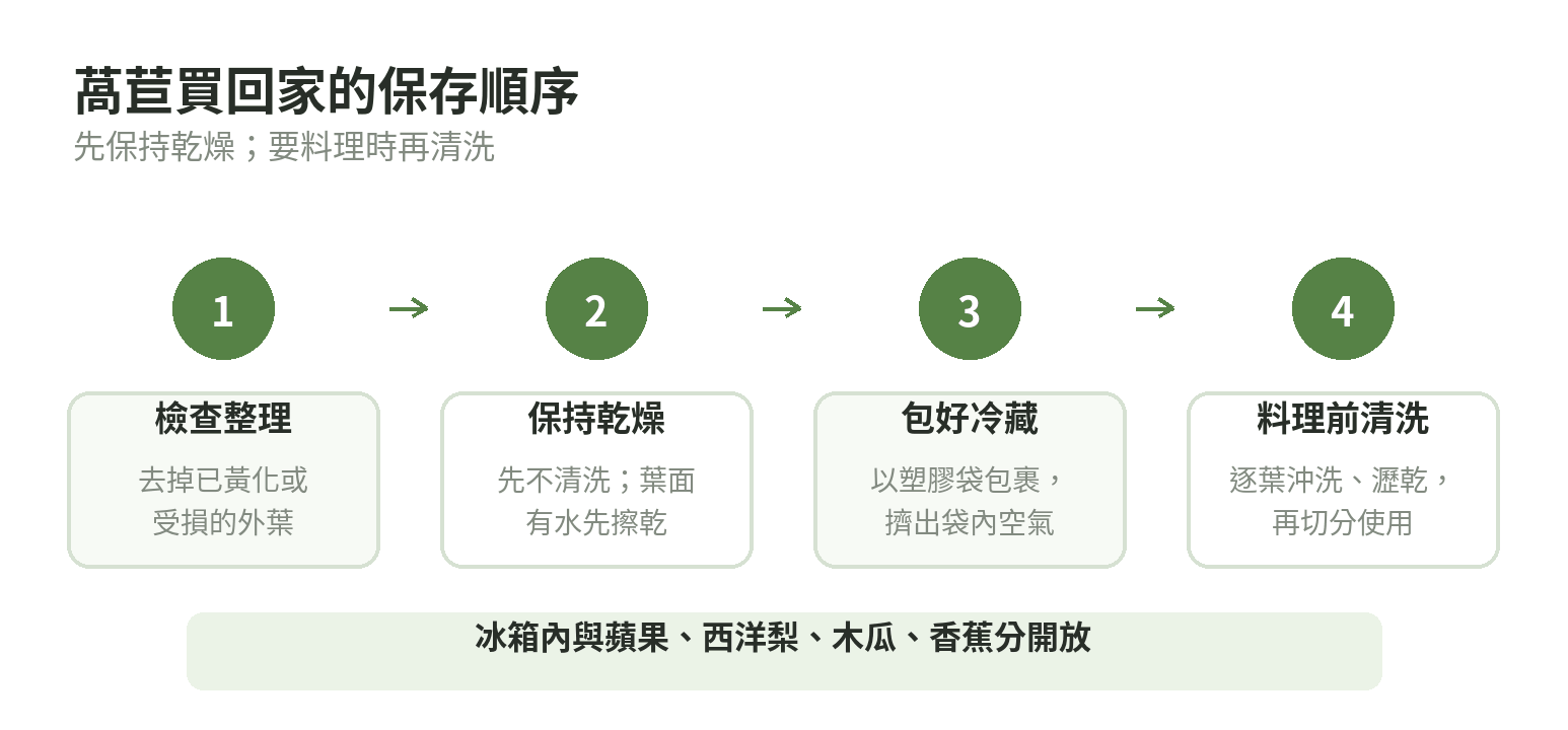 萵苣保存流程圖:檢查整理、保持乾燥、包袋冷藏、料理前清洗,並與指定水果分開
