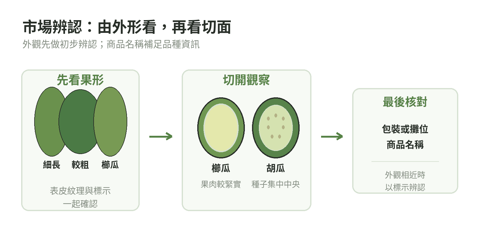以果形、切面果肉與種子位置辨認櫛瓜和胡瓜