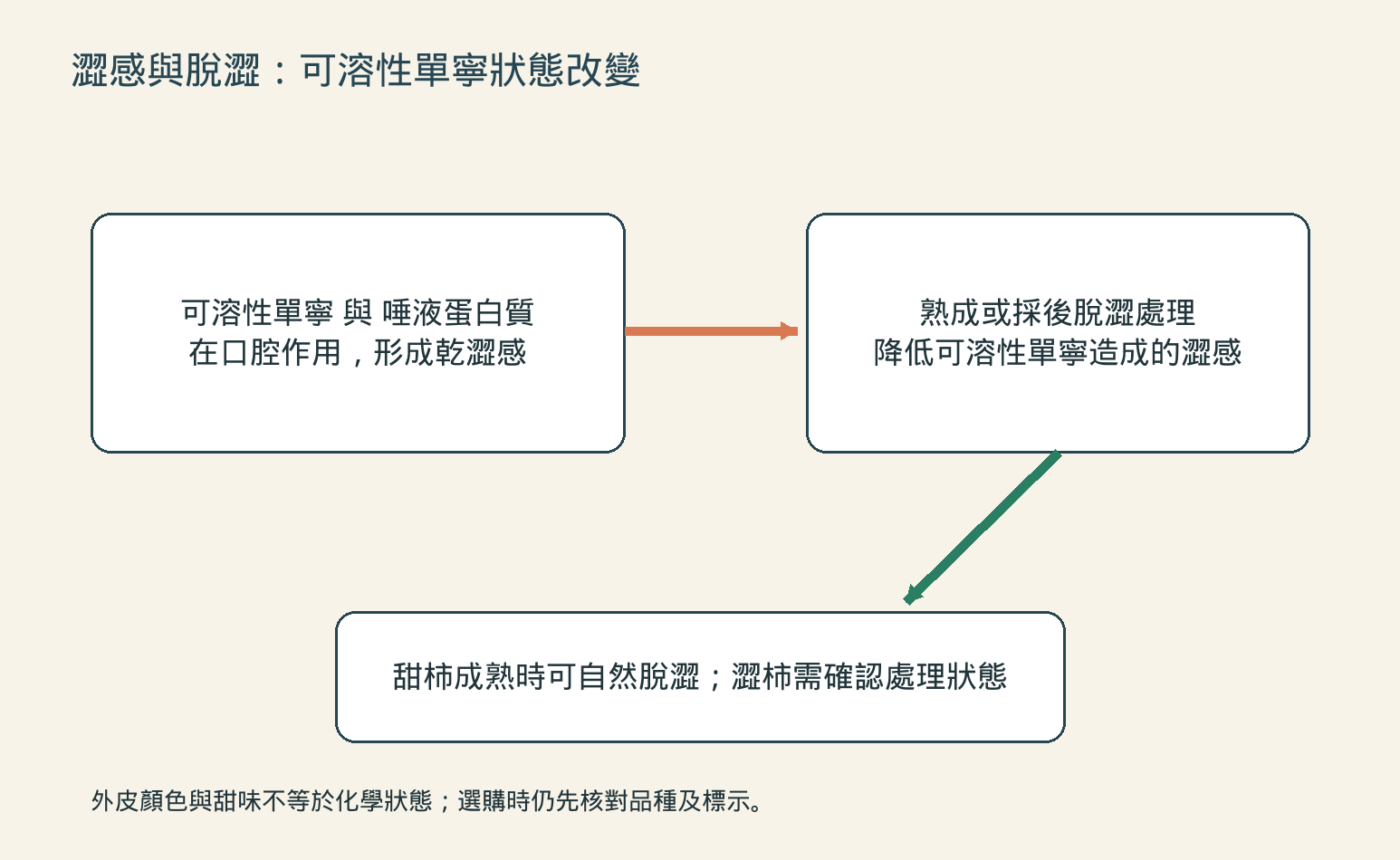 柿子澀感與脫澀原理：可溶性單寧和唾液蛋白質作用形成澀感，熟成或採後處理降低澀感