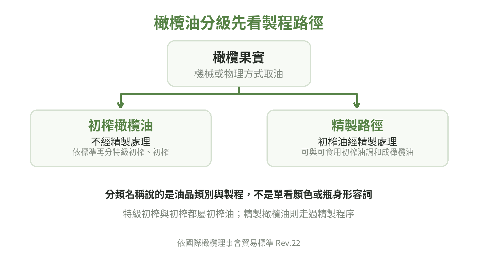 橄欖油製程分支圖:橄欖果實經機械或物理方式取油,形成初榨油;精製路徑則由初榨油經精製,並可與可食用初榨油調和成橄欖油。