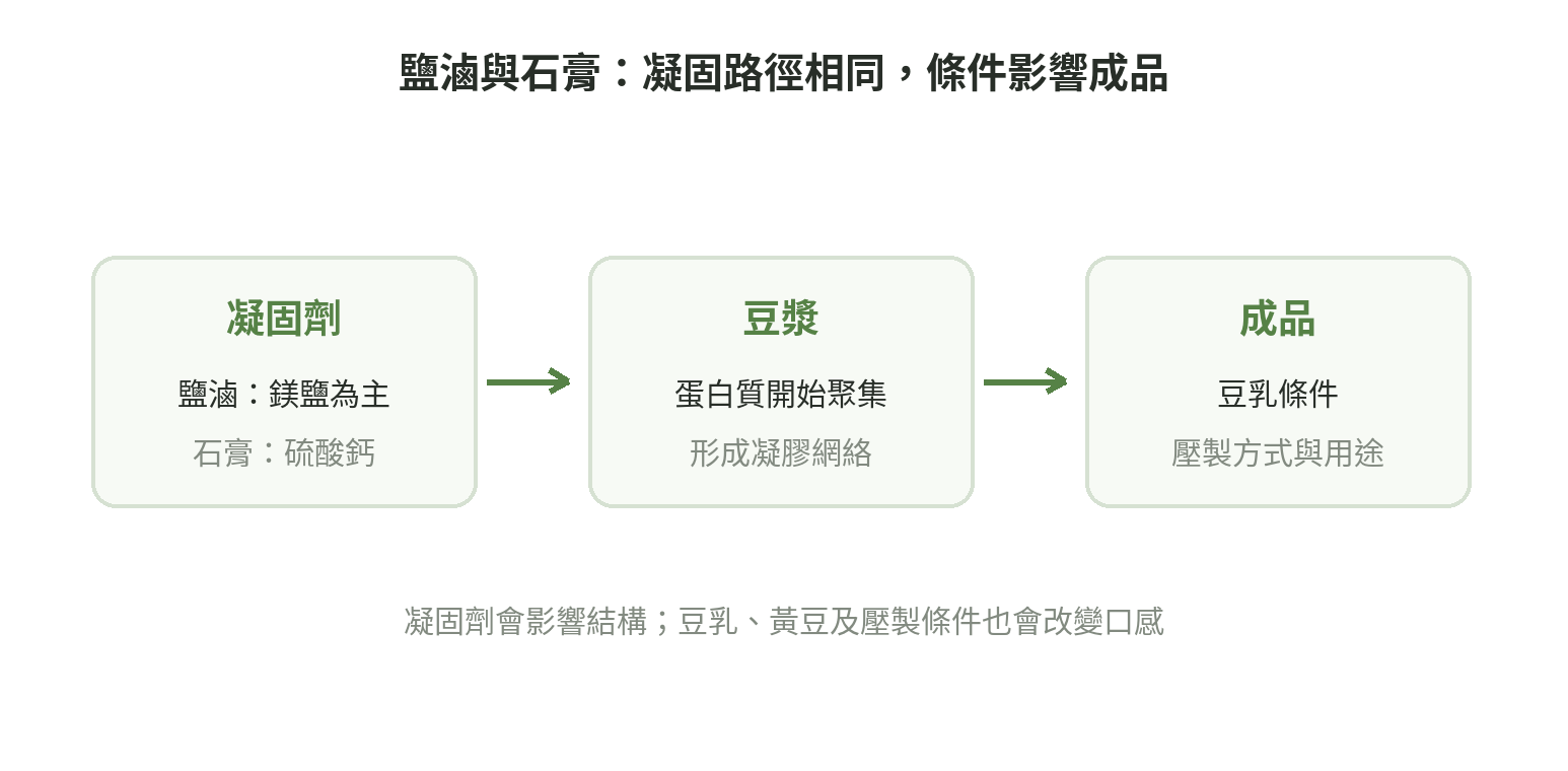 豆漿蛋白質在凝固劑作用下形成凝膠,後續豆乳條件與壓製方式也影響豆腐成品